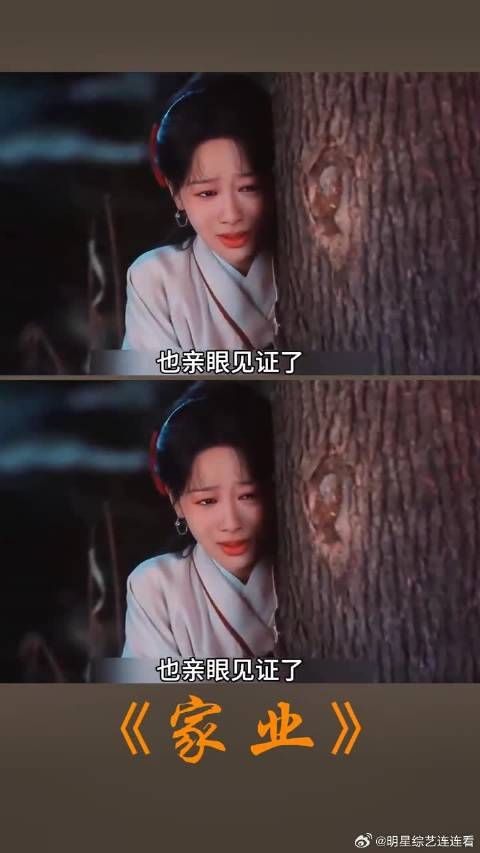 十两黄金解围牵出血海深仇,李祯初遇韩东君陷骆家灭门案