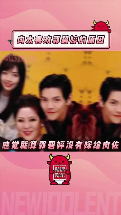 向太称郭碧婷未收彩礼，其父自尊心强