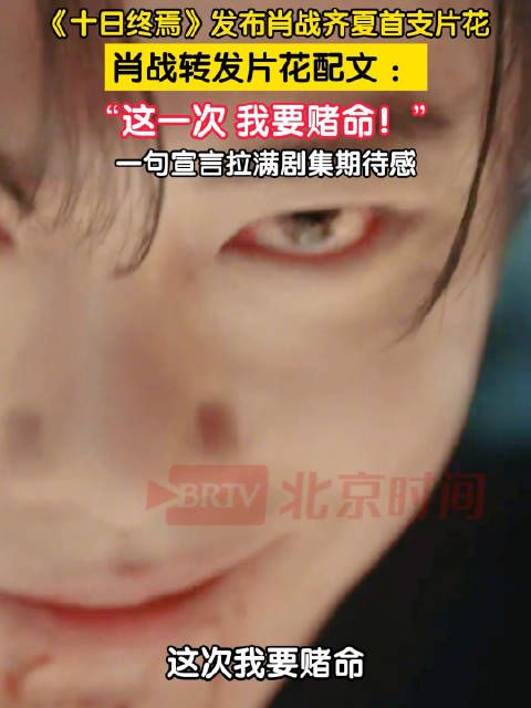 肖战齐夏这一次我要赌命