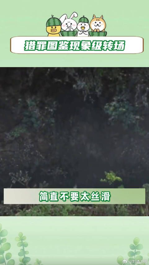 猎罪图鉴 金世佳