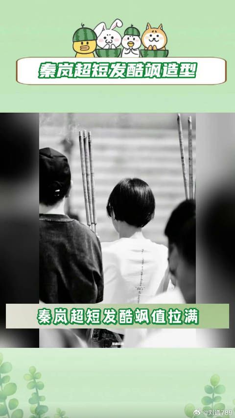 秦岚 平等之门 微博VC计划