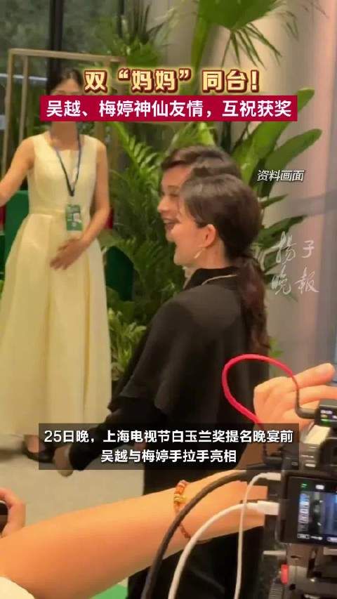 吴越梅婷都演过杨紫妈妈