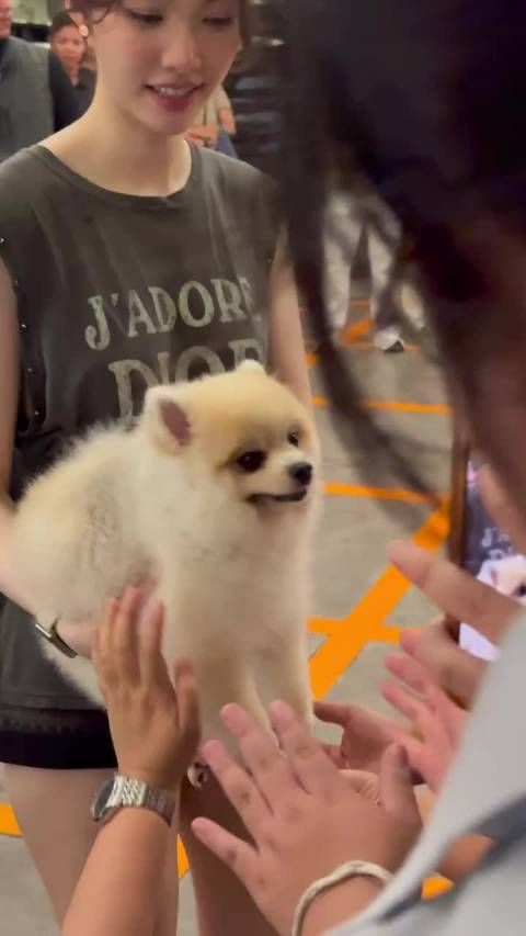 多亏了群友才看到这个乌脂乱颤的五腻饭撒视频
