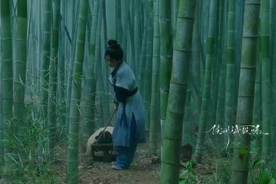 雪中幻像救下轻生女子叶璃