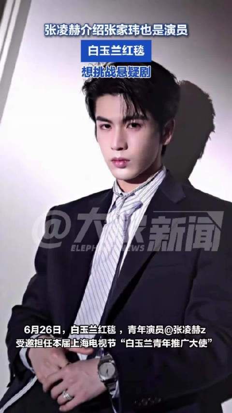 张凌赫介绍张家玮也是演员