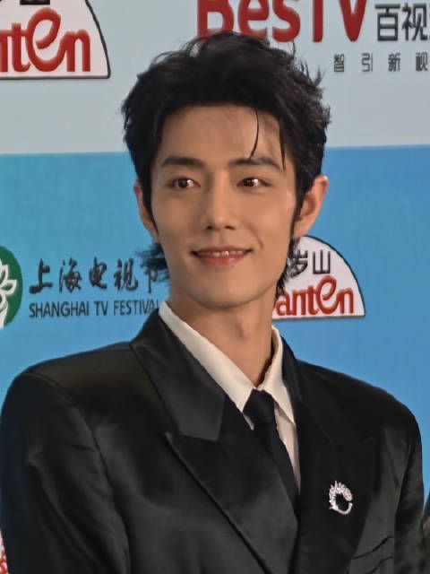 肖战藏海大人一路含笑