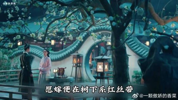 宋墨为窦昭求来婚姻自由令牌