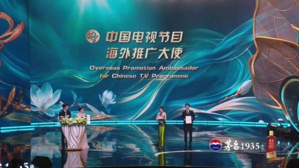 恭喜杨幂获得海外推广大使奖项，果然意味着提前退出最佳女主角的争夺…