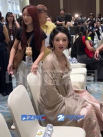 好想看杨紫战袍放下来的样子