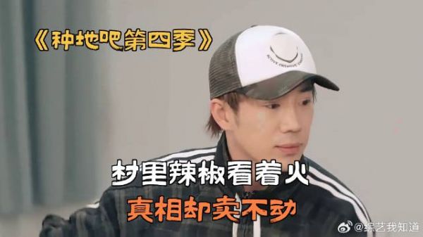 村里辣椒看着火，真相却卖不动