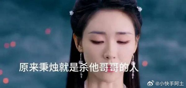 原来秉烛是杀她哥哥的凶手