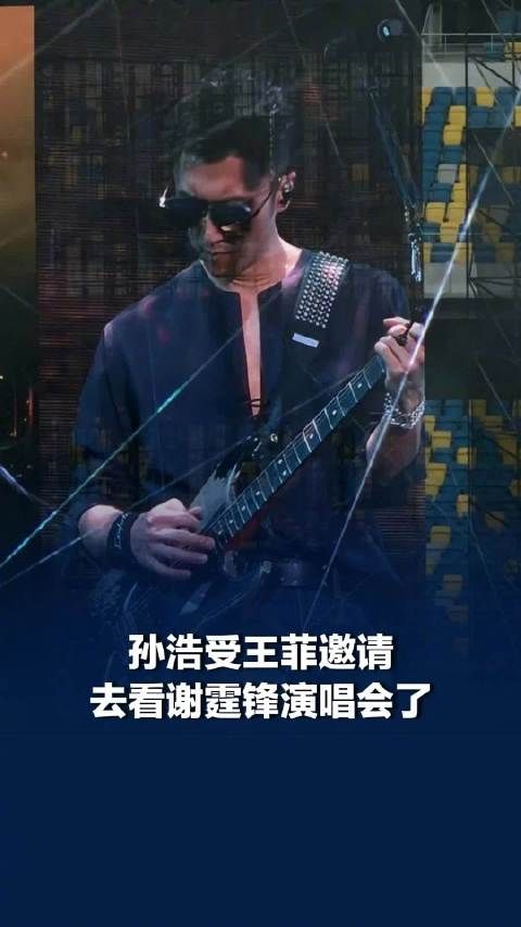 孙浩受王菲邀请去看谢霆锋演唱会了