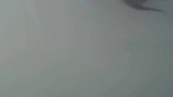 这一幕幕都是他们相爱的证据，这吻戏绝了！单身狗看完心跳加速！