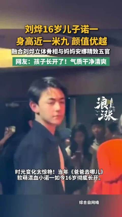 刘烨16岁儿子诺一五官长开，混血轮廓凸显少年感
