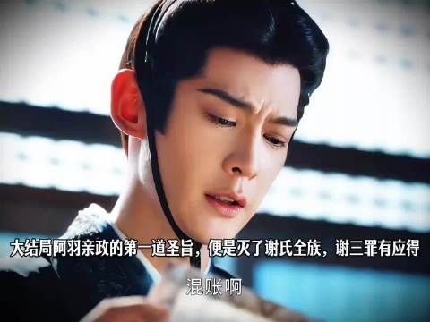 大结局阿羽亲政的第一道圣旨，便是灭了谢氏全族，谢三罪有应得