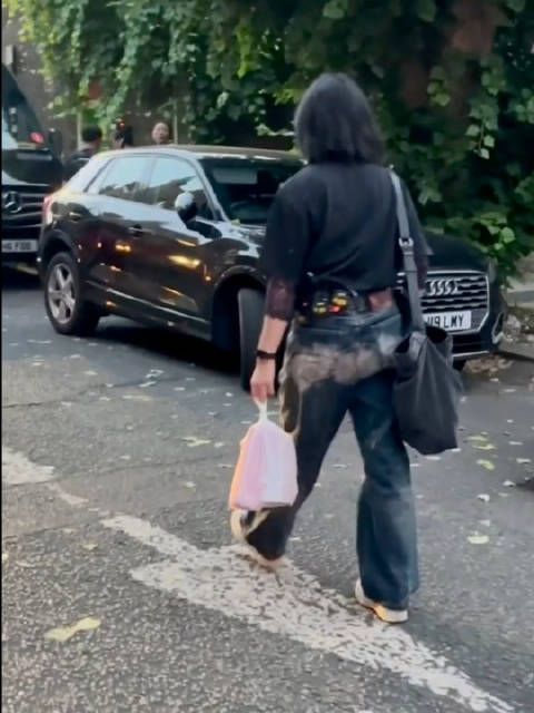 凌乱小猫泄气小猪与疲惫女士现身街头
