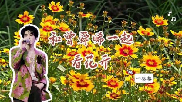 用曾舜晞的歌声打开北京夏天