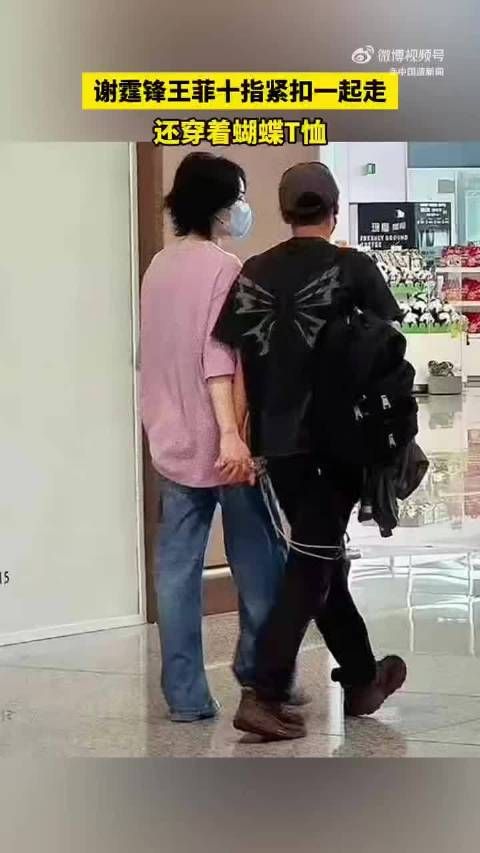 谢霆锋王菲十指相扣现身机场