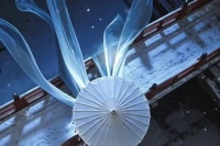 赵夕汐杨泽新剧妖师暴徒演绎师徒虐恋