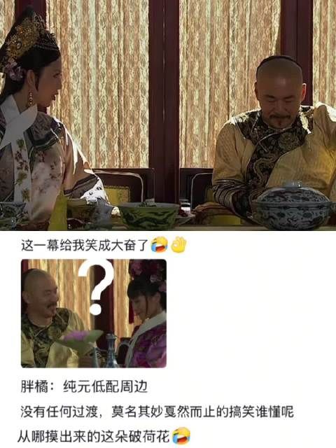 谁来懂一下甄嬛传中胖橘这一段的反差