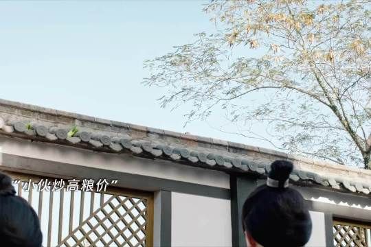 穿越到古代的小伙用炒股思维一招稳定粮食价格，惩治奸商 浣纱录