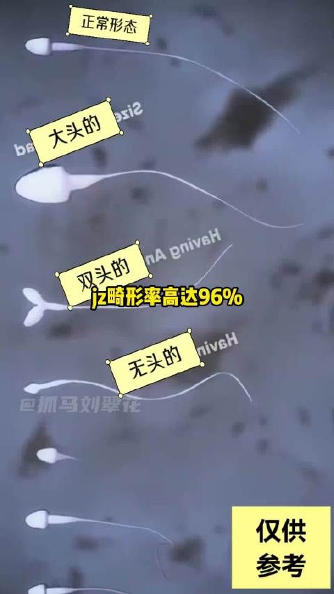 谁说中国没有好的恐怖片 「仅供分享，无不良引导」反转