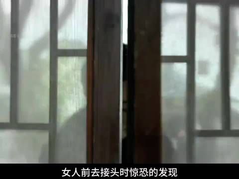 明楼为姐报仇当众枪杀76号特务！