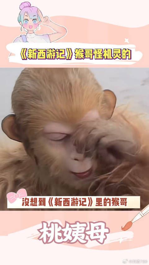 猴哥：这次我重生了，看了86版西游记知晓了我的命运！搞笑 二郎神