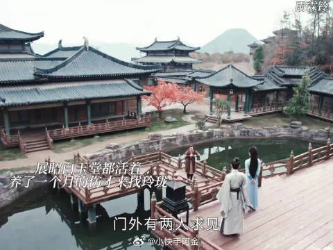 鼠还是玩不过猫啊