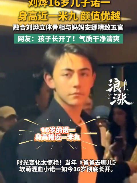 刘烨15岁儿子诺一近照 身高近一米九 遗传了爸妈的骨相五官