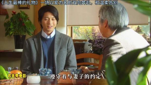 女儿隐瞒病情陪伴父亲，真相揭晓爱意沉重