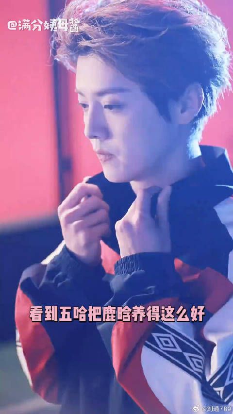 鹿晗邓超陈赫五哈6季暖心互动