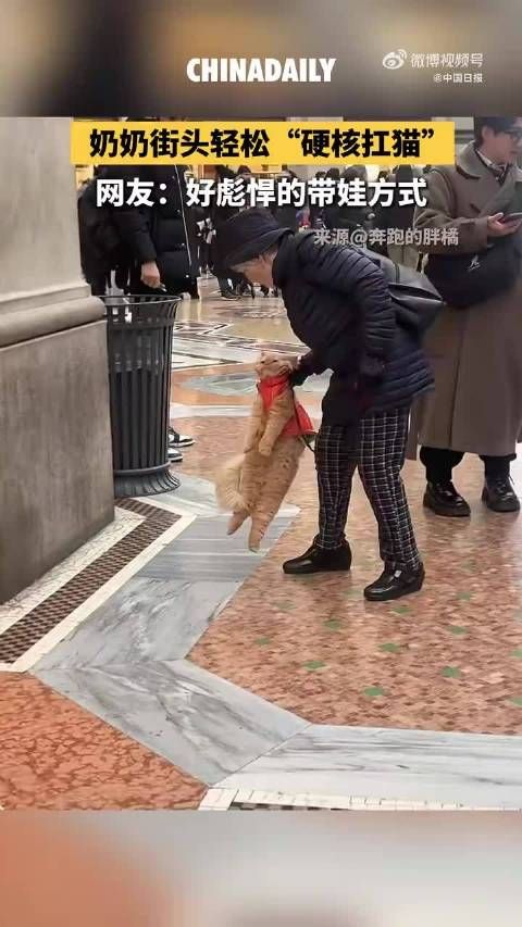 奶奶一把捞起猫扛肩上好硬核