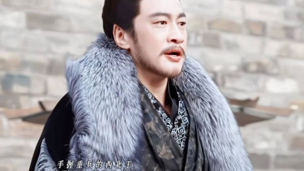 杀伐果断的大将军没想到有一天会因为女儿择婿操碎了心