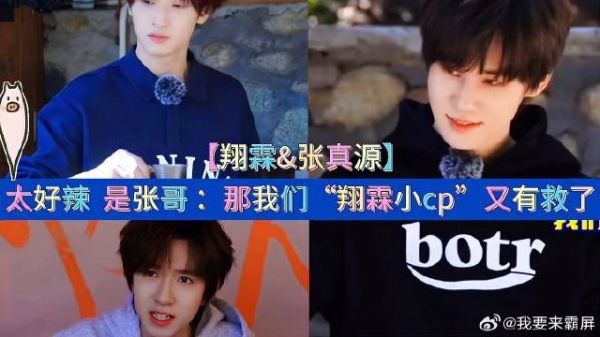 太好辣 是张真源：那我们“翔霖小cp”又有救了