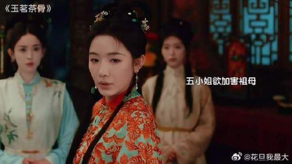 五小姐对祖母怨恨很深,替父母不值!却错伤他人不知所措