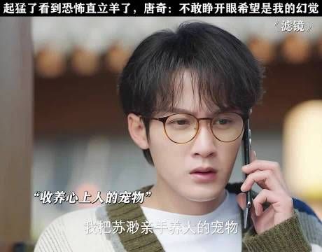 太吓人，羊驼直立行走