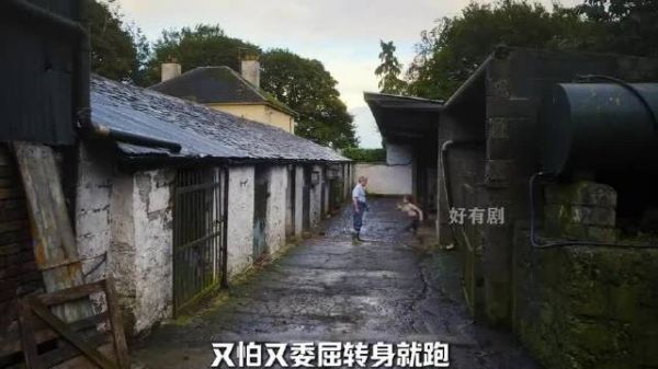 《夏日细雨》养父以饼干无声和解