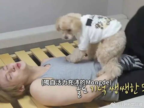 Mongde分享独居生活日常