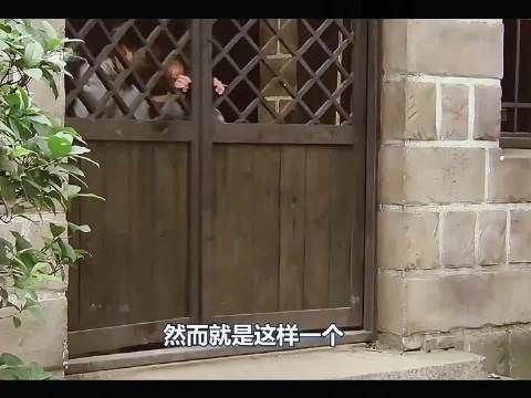 郝邵文《新乌龙院》为爱变小花猫