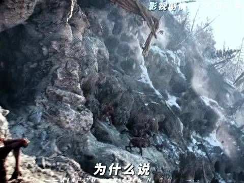 恐惧是生物的本能，勇气是人类的赞歌
