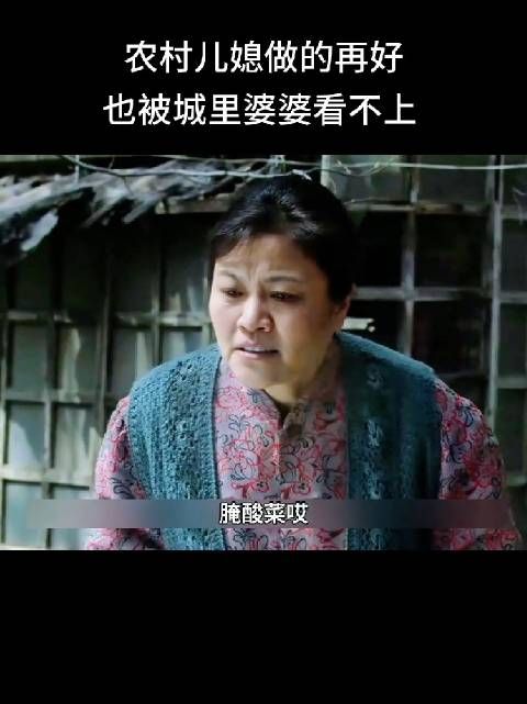 农村儿媳遭遇城里婆婆偏见