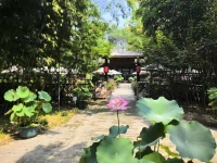 颐和园荷花文化节将于7月8日启幕