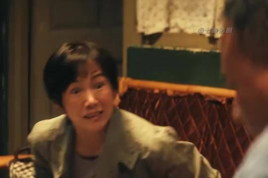 “被儿子当孙子骂”电视剧