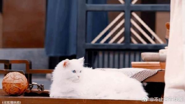 你永远可以相信孟子义的嘴