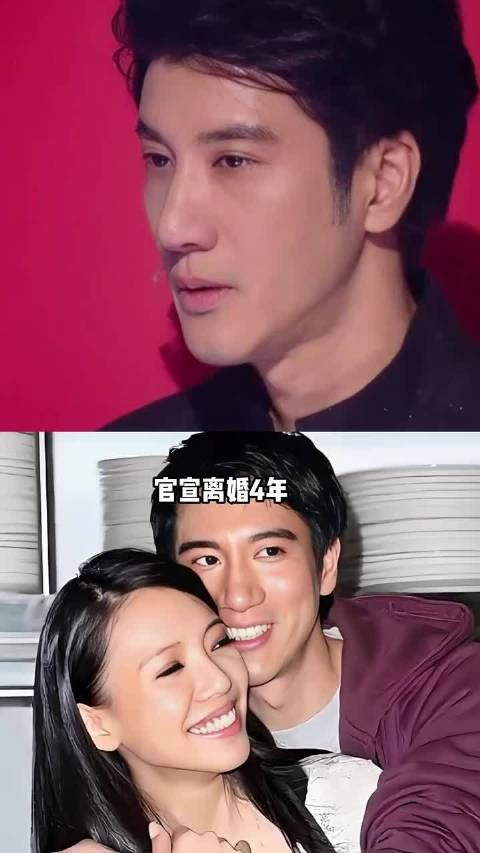 王力宏开演唱会李靓蕾淡出,抚养权放弃四年后现状
