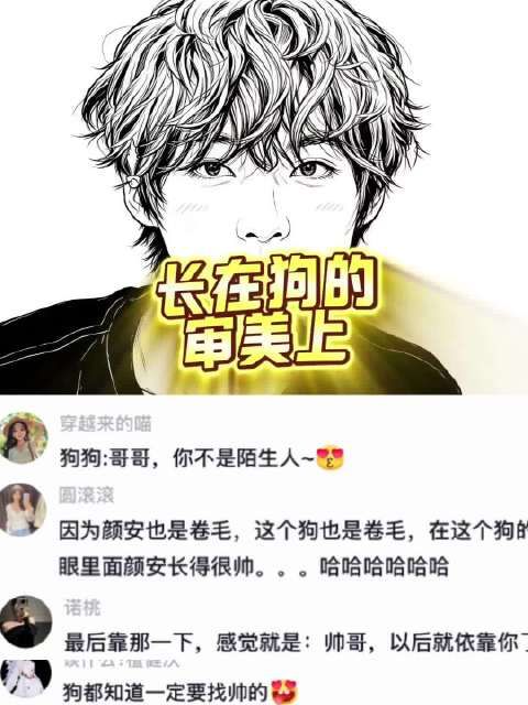 一个愣住，一个气死哈哈，狗狗:他长在我的审美点上