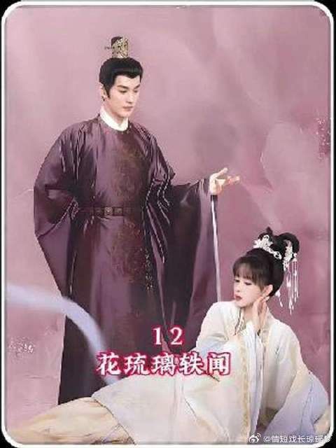 金铂国二皇子竟对花琉璃一见钟情，要入赘花家