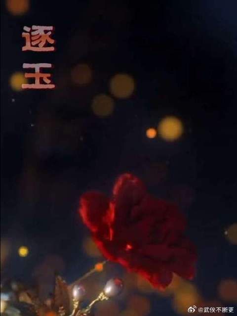 全城小娘子疯追谢征，买肉堪比追星现场