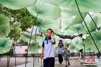 浙江杭州：孔庙“府学荷香”引客来